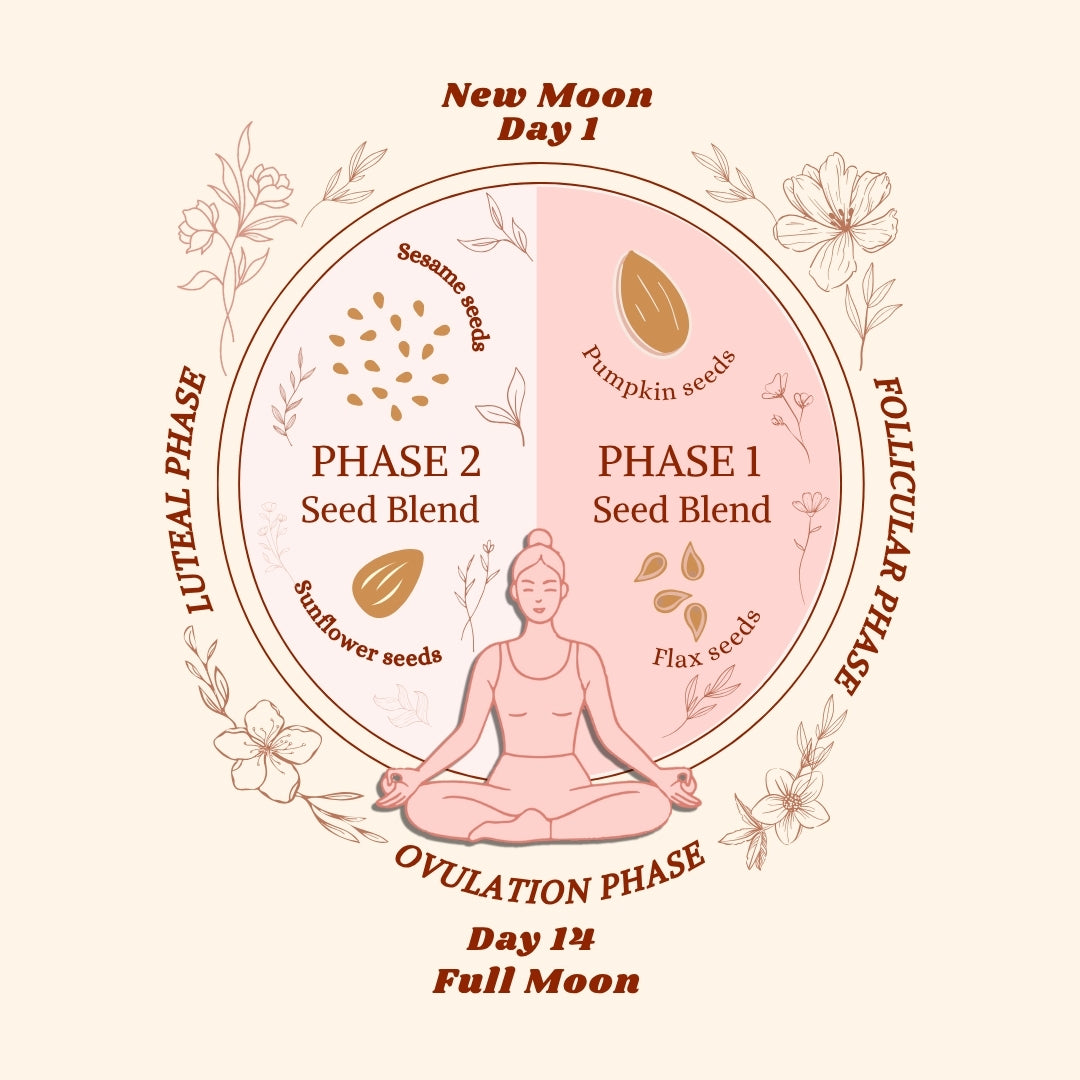 Tvara Seed Cycling Ritual Combo – 2 Month Pack (Best Value)