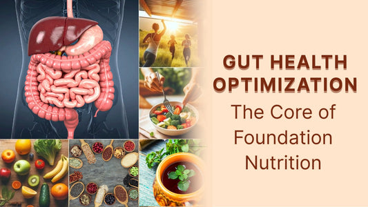 Gut Health Optimization: The Core of Foundation Nutrition