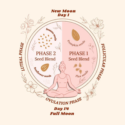 Tvara HerDaily Bites (seed cycling high protein high fibre laddoos)